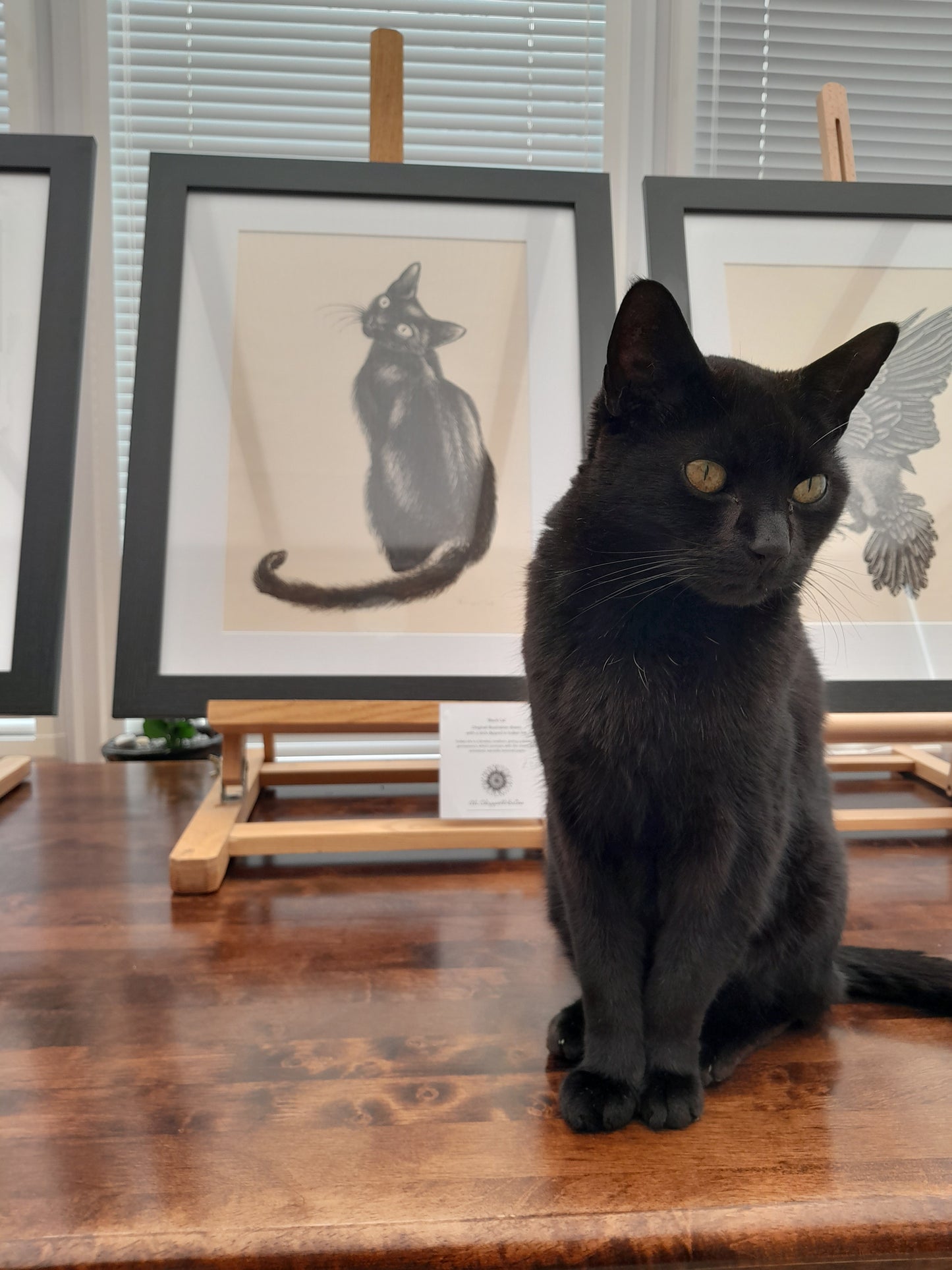 Original Ink Drawing - Cat