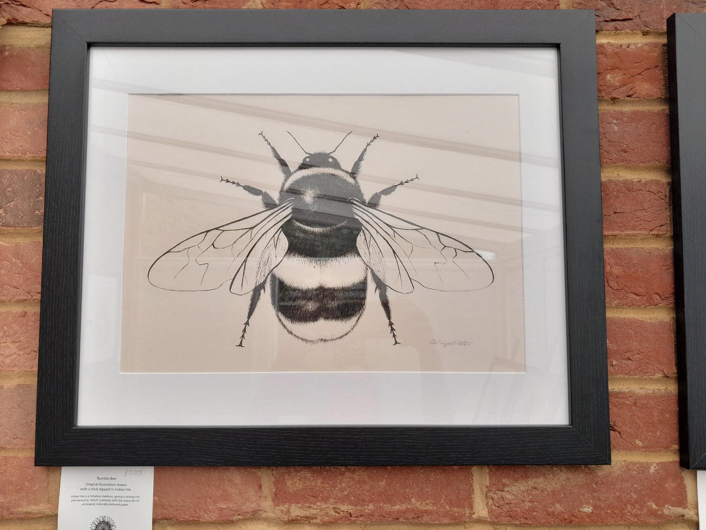 Original Ink Drawing - Bumble Bee