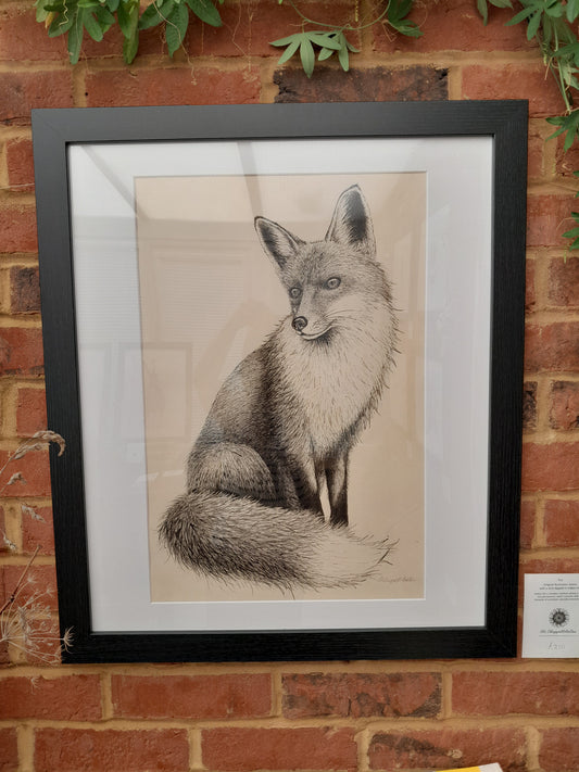 Original Ink Drawing - Fox
