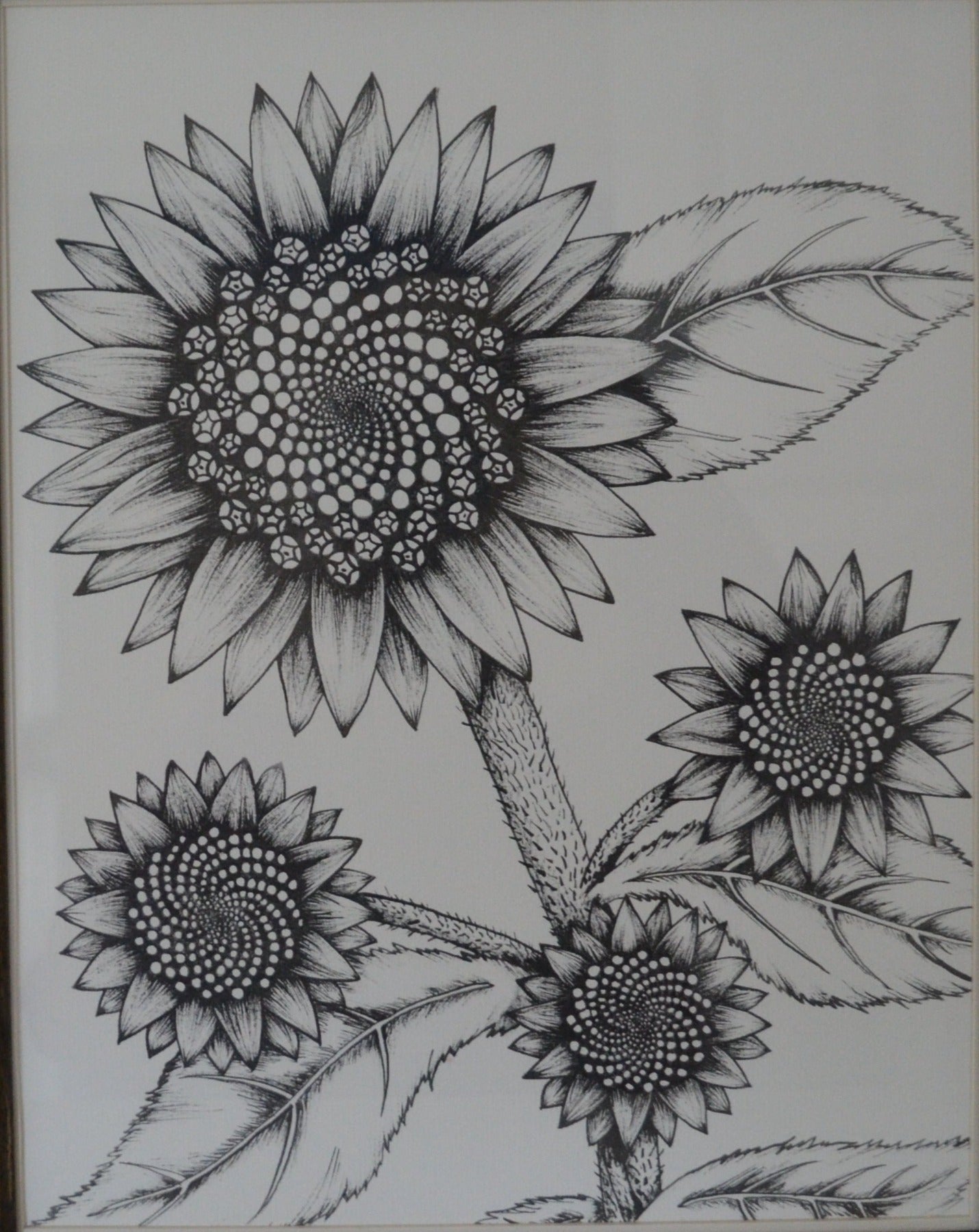 Set of three Original Ink Drawings - Sunflowers