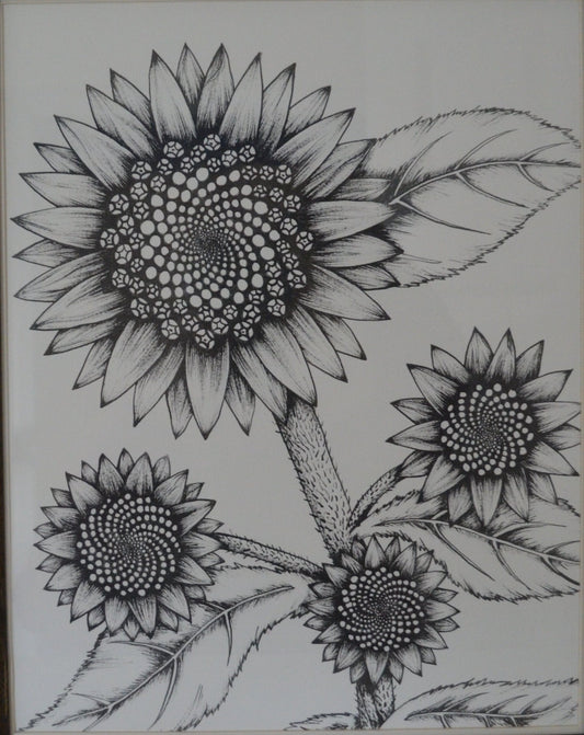 Set of three Original Ink Drawings - Sunflowers