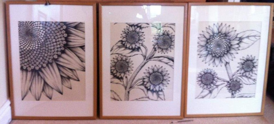 Set of three Original Ink Drawings - Sunflowers