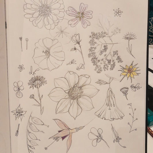 Botanical Sketchbook Club - Flowers - 5th March 2024