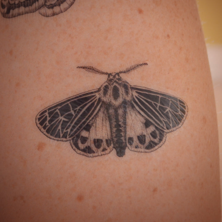 Multibuy deal - 5 pack temporary tattoos