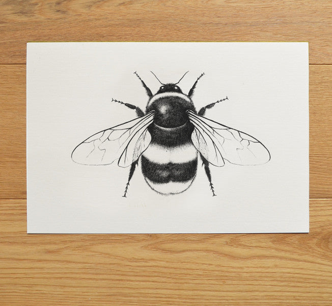 Honey Bee Wall Art Print - Botanical Decor