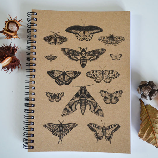 Moth & Butterfly Art - A5 Ethical Journal