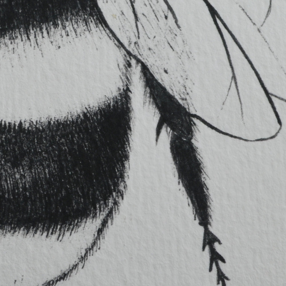 Bumble bee art print.