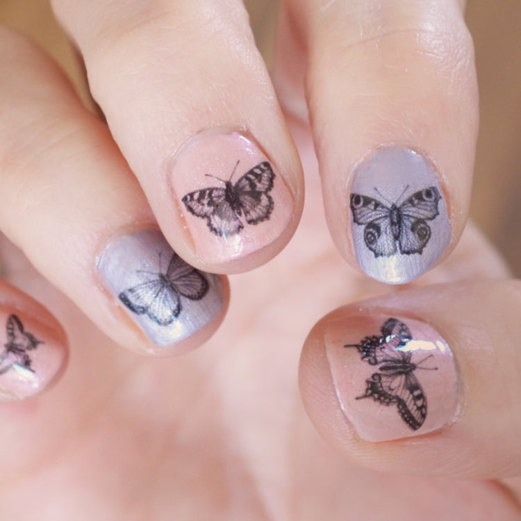 Set of 16 Butterfly nail decal transfers.