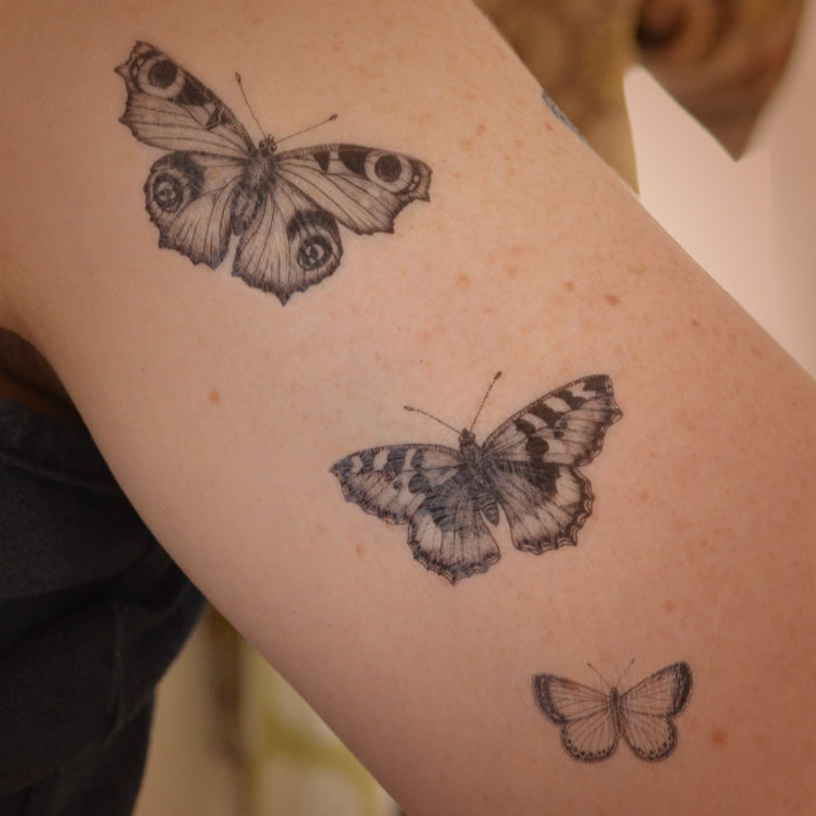 Peacock, Tortoiseshell and Small Blue - butterfly temporary tattoo set