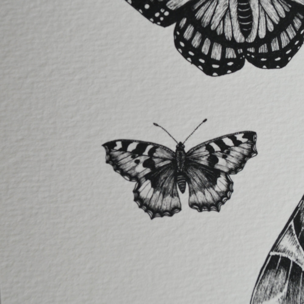 Moths & Butterflies art print.