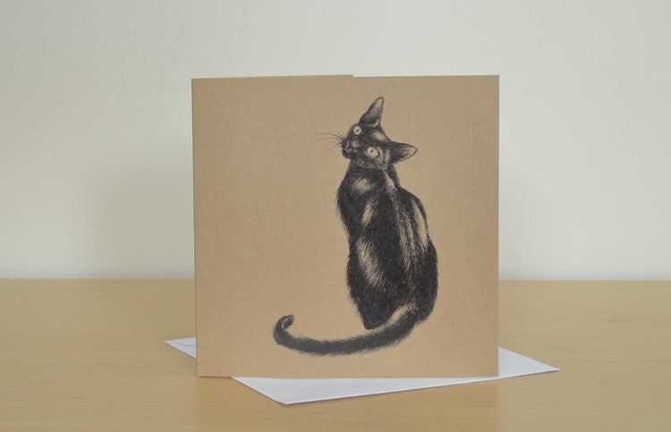 Mix and match 6 illustrated greetings cards.