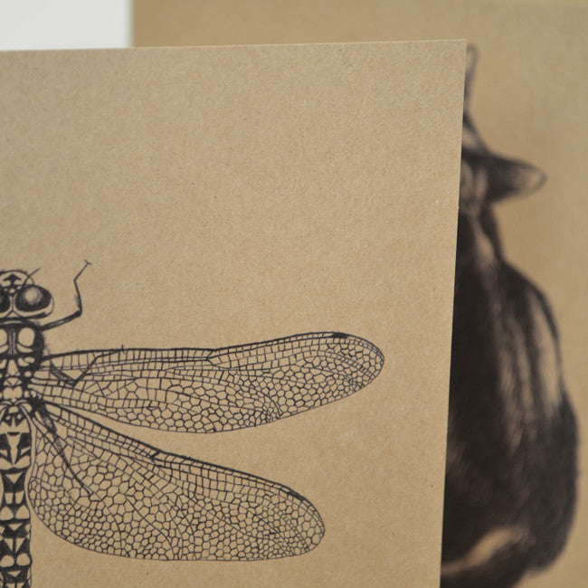 Recycled Dragonfly greetings card.