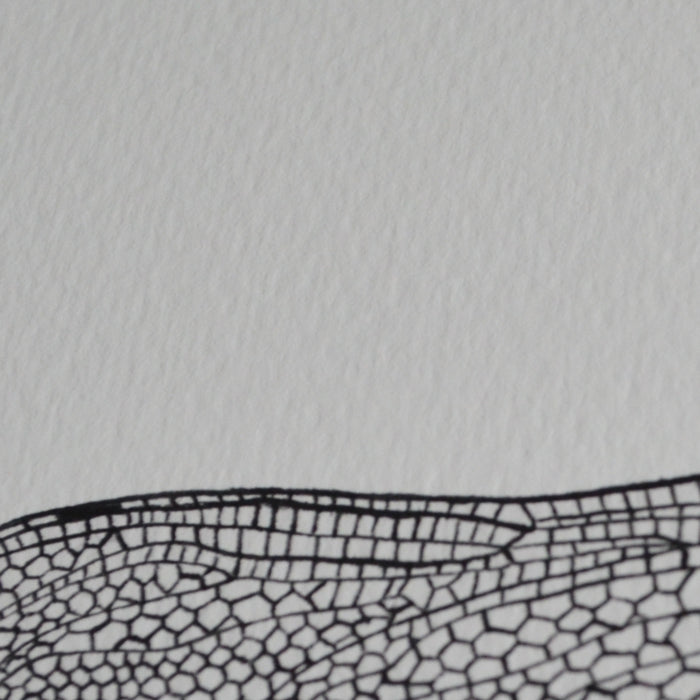 Dragonfly art print.
