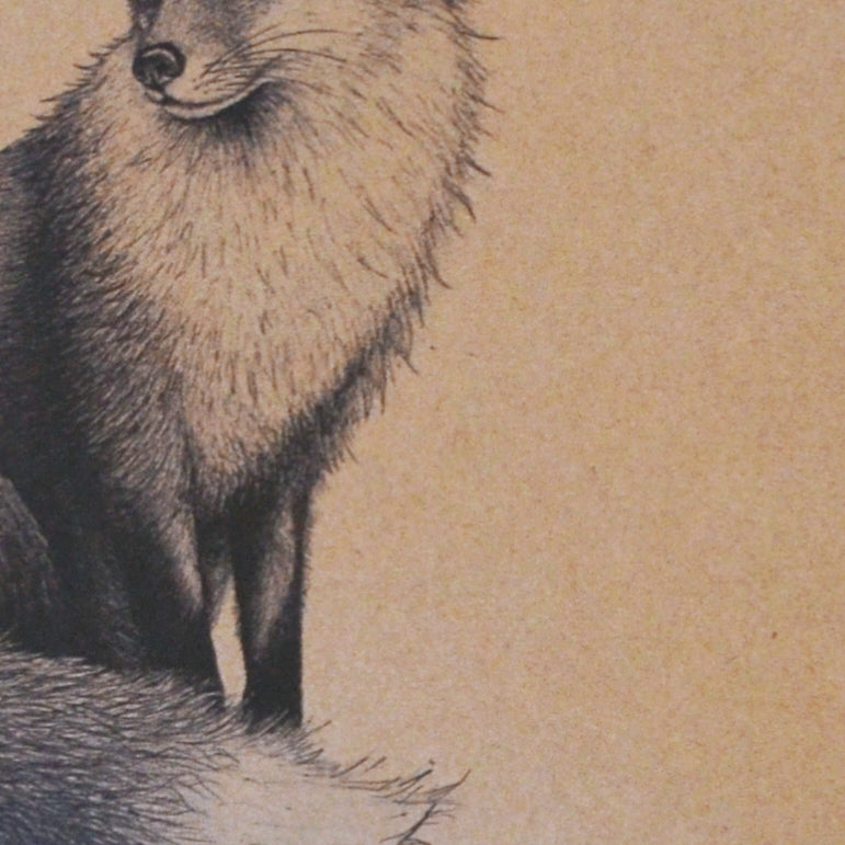 Fox illustration greetings card. Recycled, blank inside.