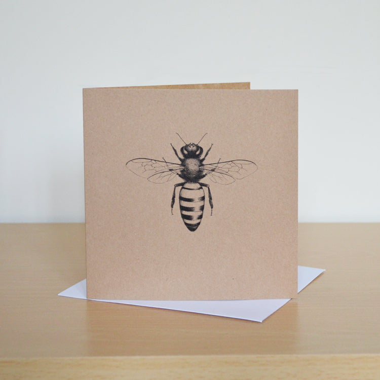 Mix and match 6 illustrated greetings cards.