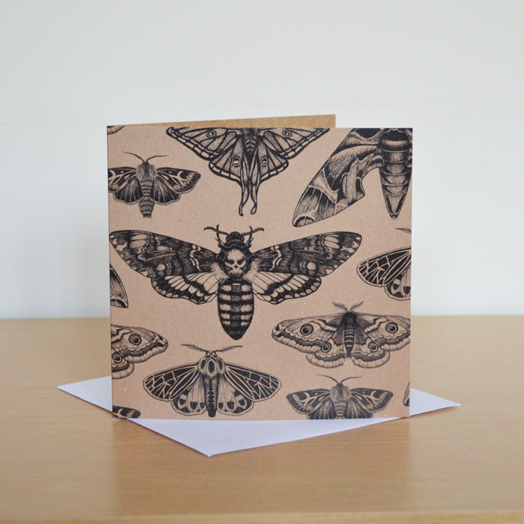 Moth collection - recycled greetings card.