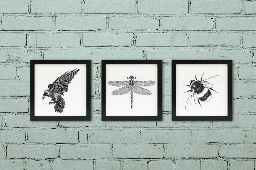 Pick and mix - Set of three framed wildlife art prints