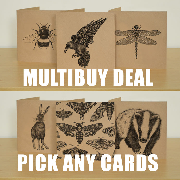 Mix and match 6 illustrated greetings cards.