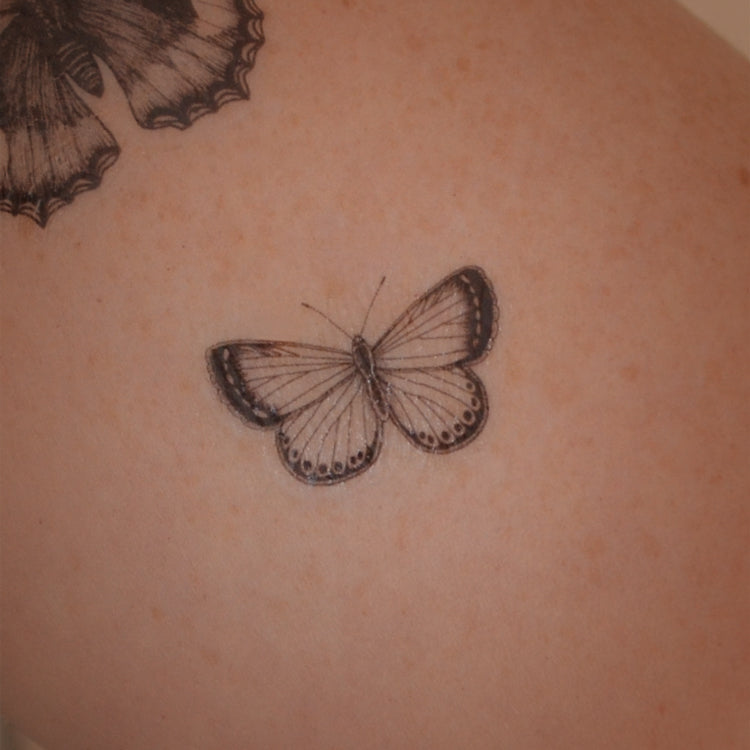 Peacock, Tortoiseshell and Small Blue - butterfly temporary tattoo set
