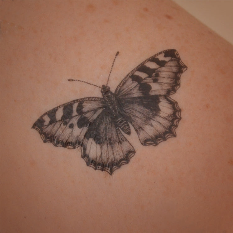 Peacock, Tortoiseshell and Small Blue - butterfly temporary tattoo set