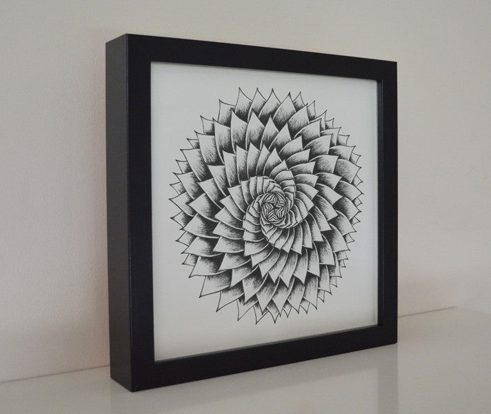 Succulent art print