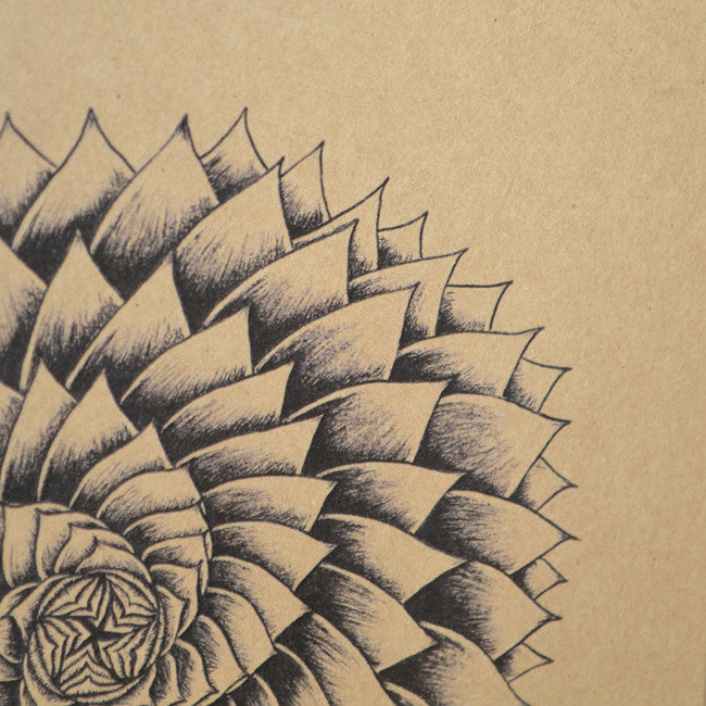 Succulent spiral greetings card.