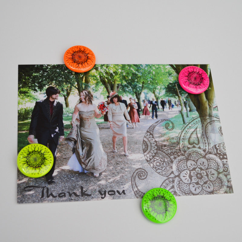Neon sunflower magnets - set of 4.