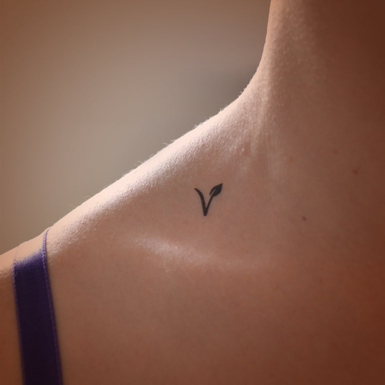 Variety sets of Vegan temporary tattoos