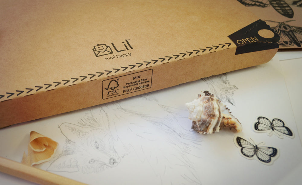 Lil Packaging Review - Environmentally friendly packaging