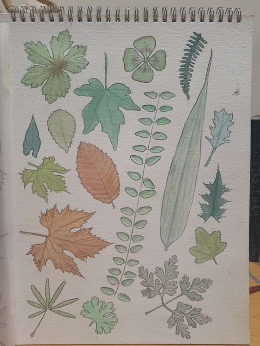 Botanical Sketchbook Club - Leaves & Foliage - 9th January 2024