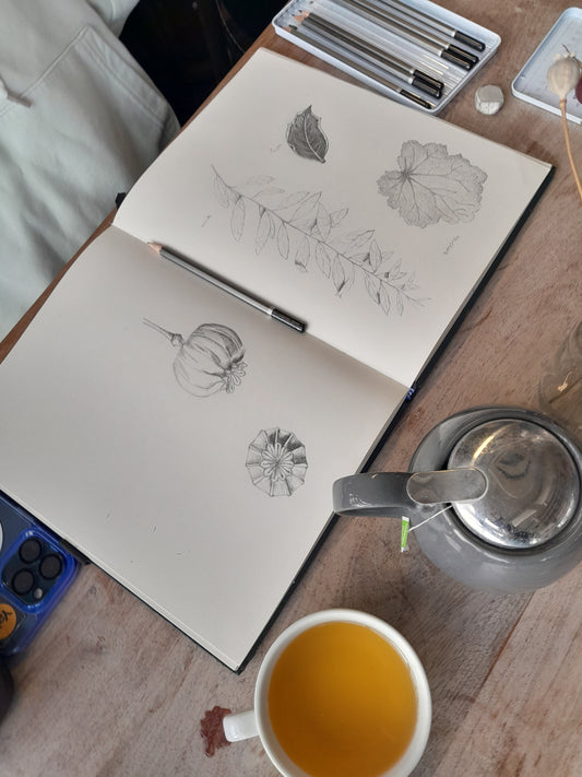 Botanical Sketchbooks - Private booking