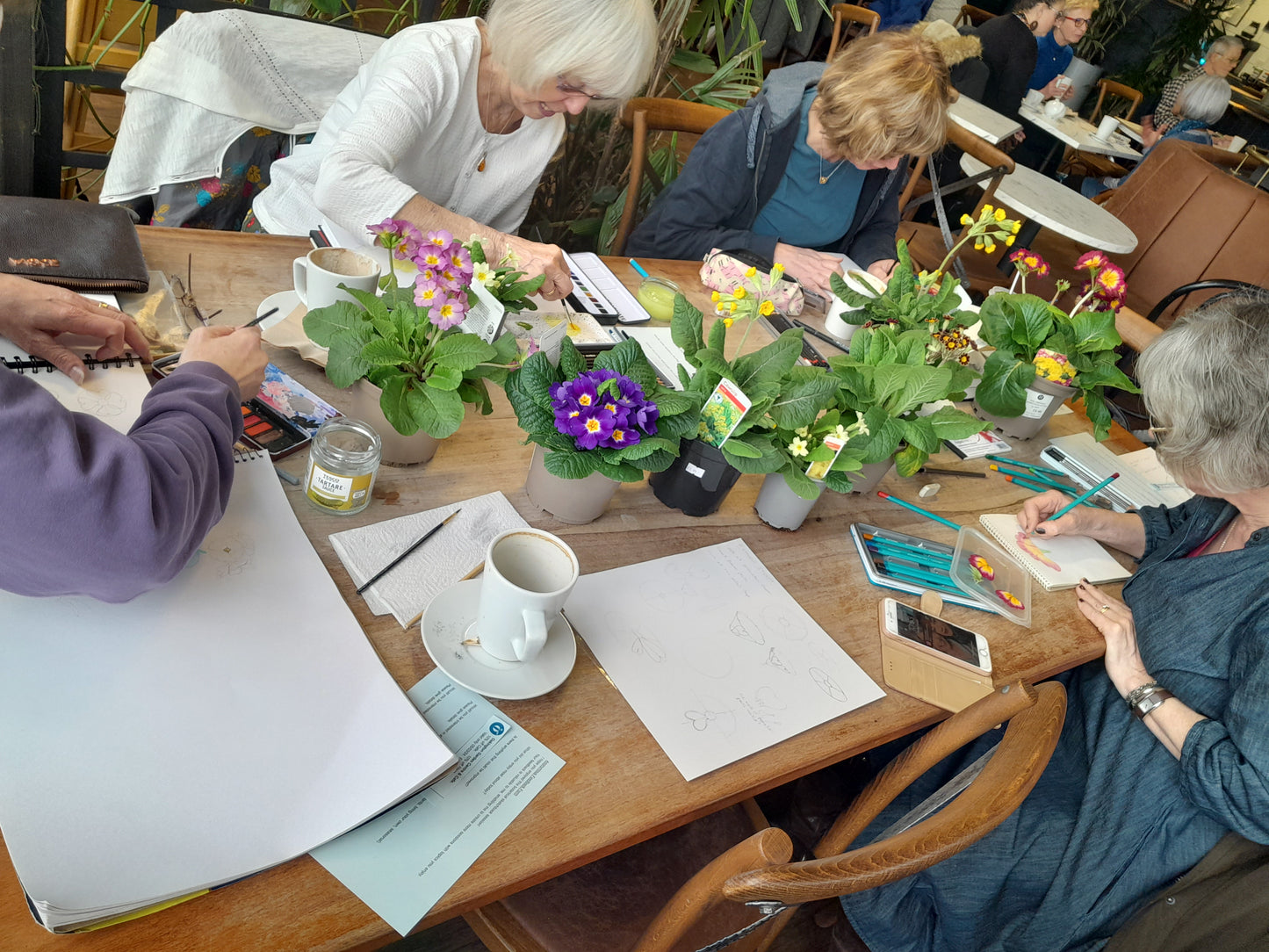 Botanical Sketchbooks - Private booking