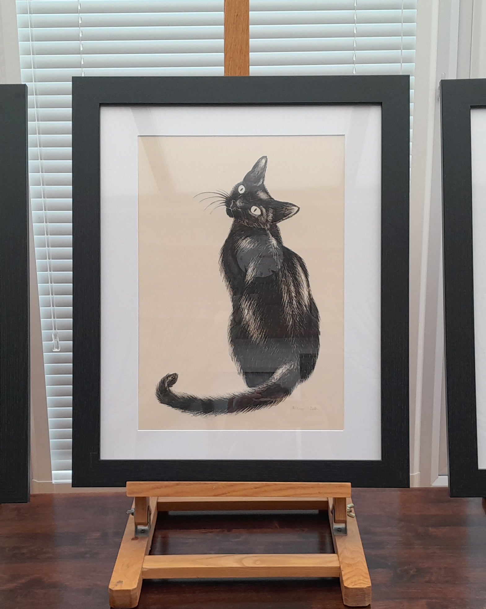 Original Ink Drawing - Cat – Ali Chappell-Bates Art