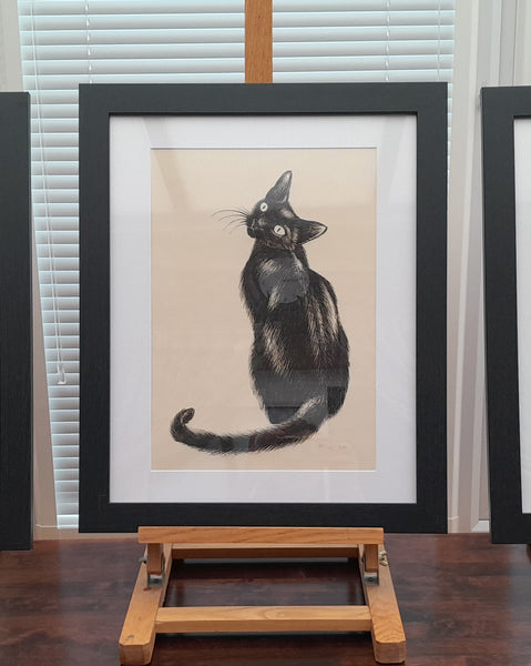 Original Ink Drawing - Cat