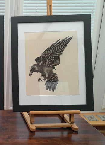 Original Ink Drawing - Raven
