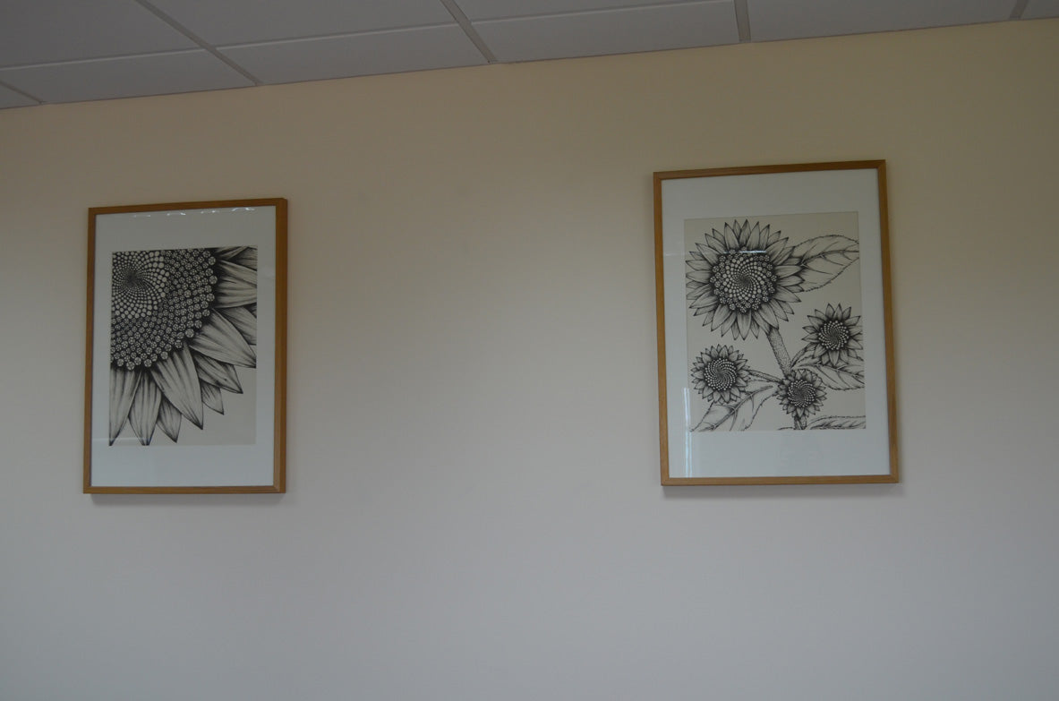 Set of three Original Ink Drawings - Sunflowers