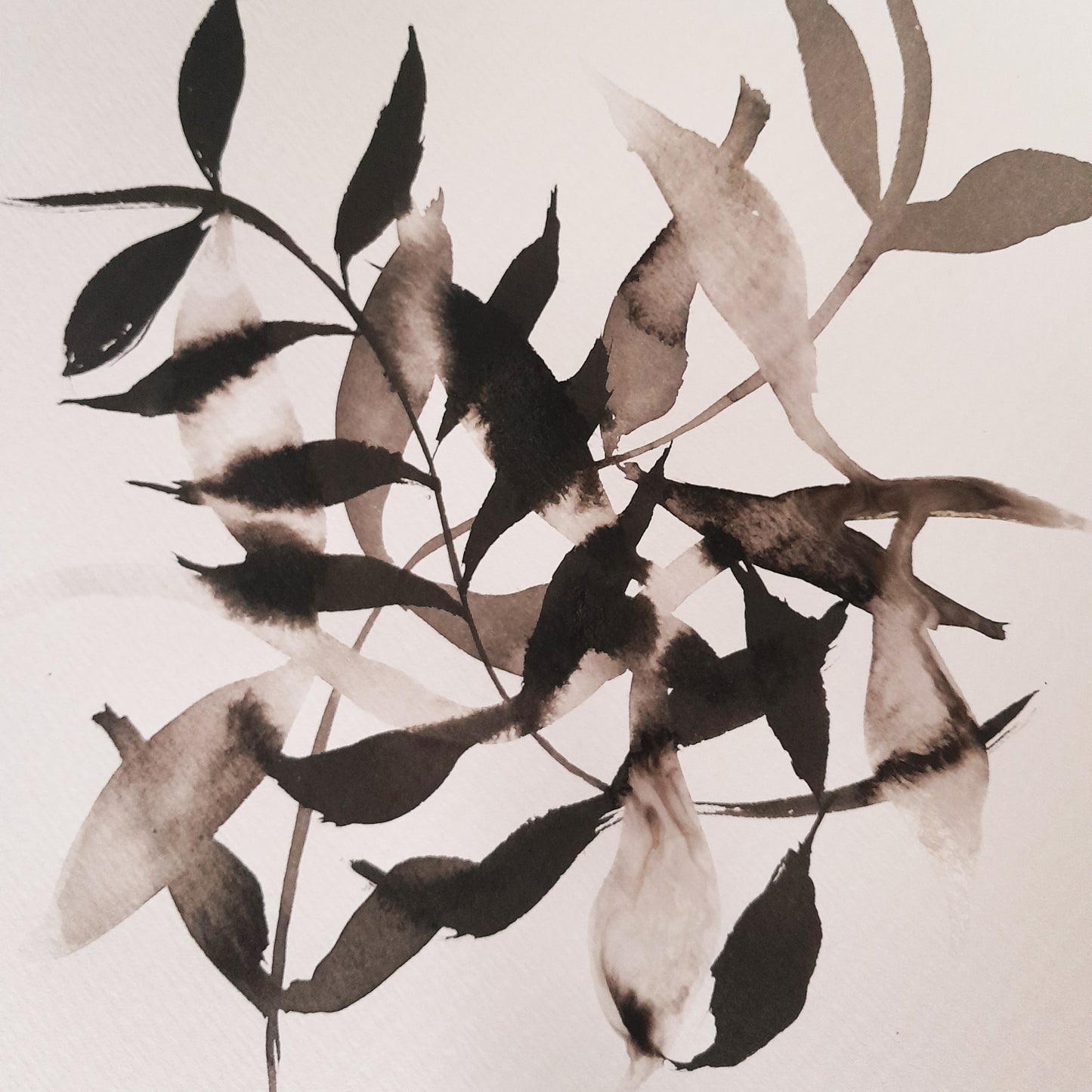 Drawing with ink and nature - 4 sessions - Group booking