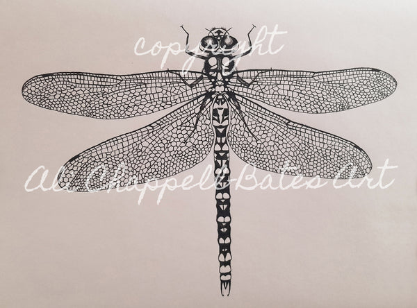 Original Ink Drawing - Dragonfly