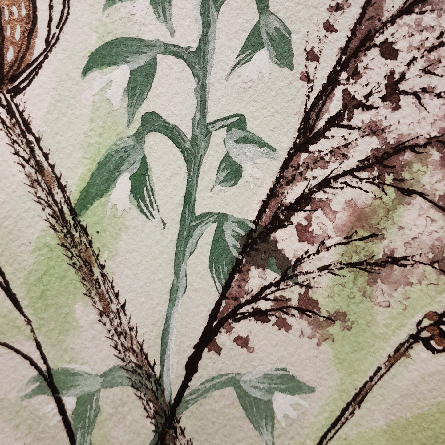 Intermediate drawing with ink and nature - Group booking