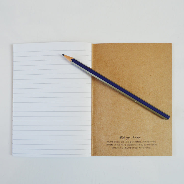 'Seconds' sale - 3 x A6 notebooks - imperfect stock