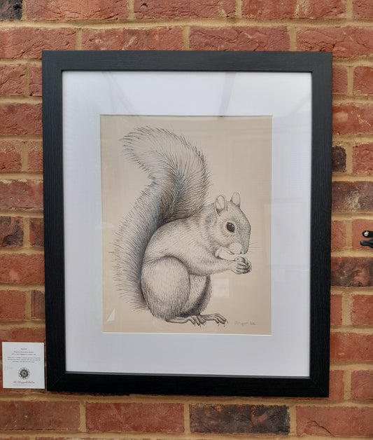 Original Ink Drawing - Squirrel