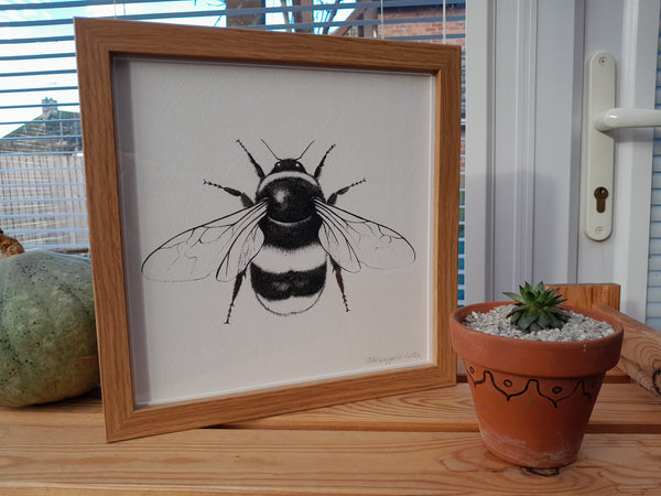 Framed Bumblebee print.