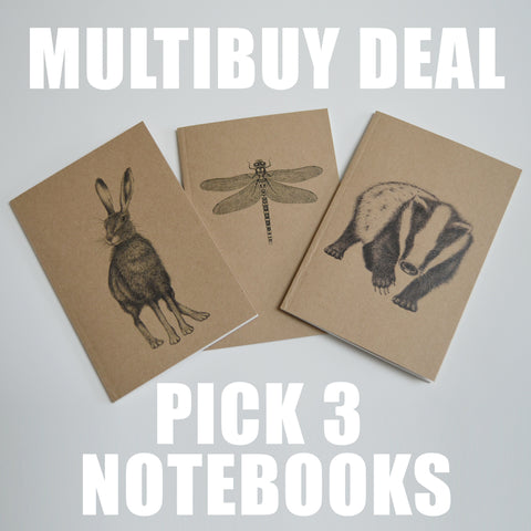 Value pack - choose any 3 eco-friendly A6 notebooks