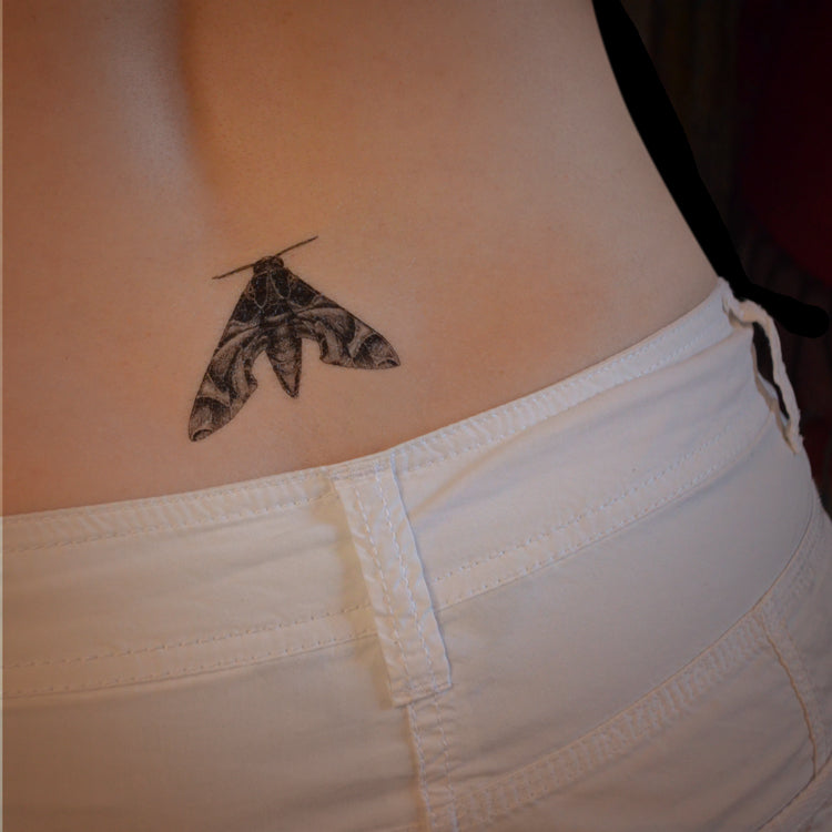 Oelander Hawk Moth temporary tattoo