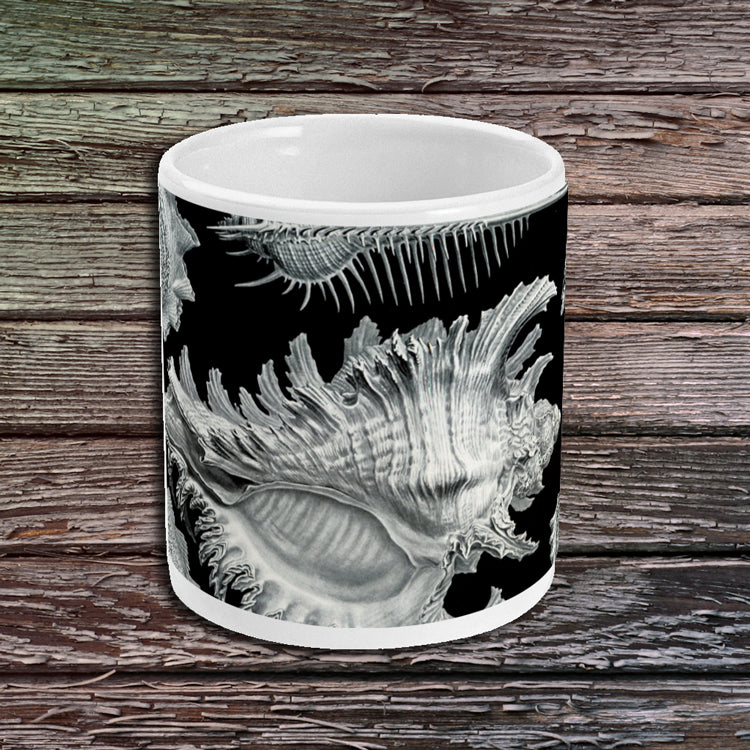 Prosobranchia By Ernst Haeckel - Ceramic Mug