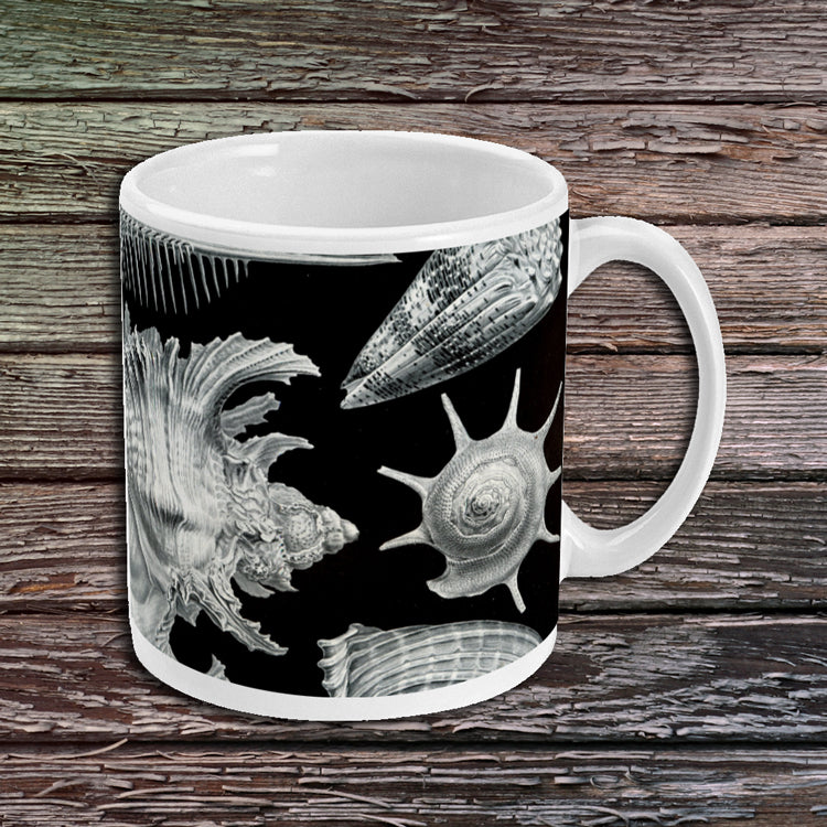 Prosobranchia By Ernst Haeckel - Ceramic Mug
