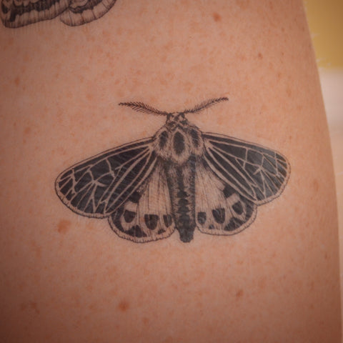 Tiger Moth temporary tattoo