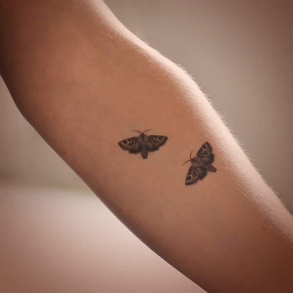 Antler Moths mini temporary tattoo set