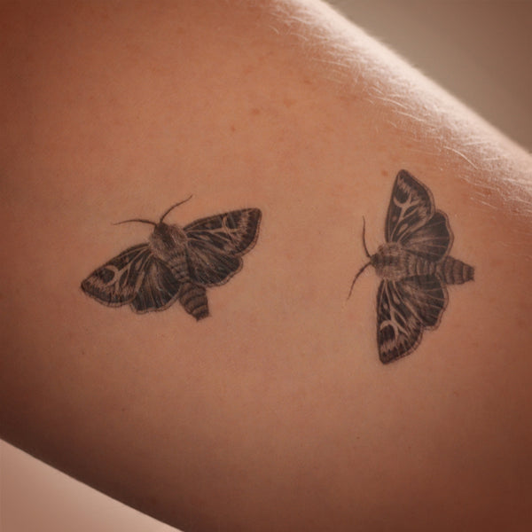 Antler Moths mini temporary tattoo set