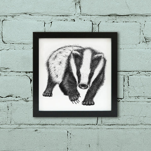 Black and white Badger illustration